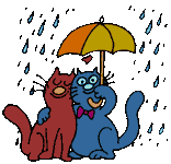 cat-umbrella
