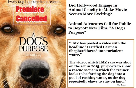 animal rights advocates call for public to boycott A Dogs Purpose film –  FIREPAW, Inc.